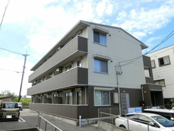 ステラの画像