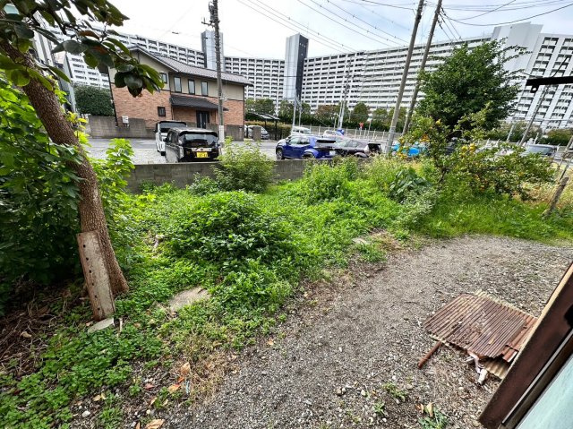 神藤荘の庭