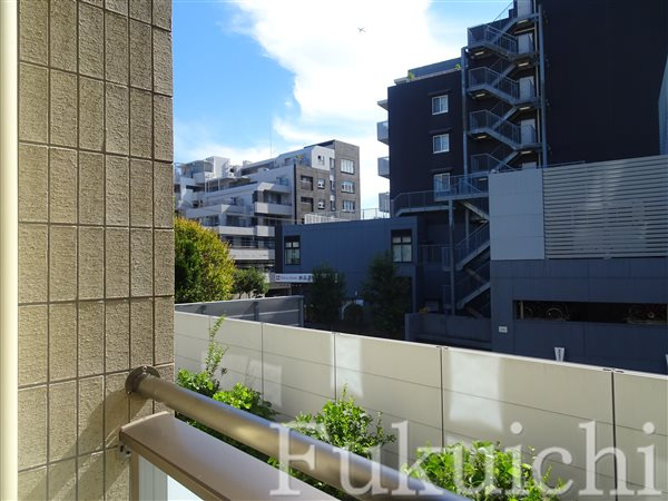 アモーレ学芸大学の展望