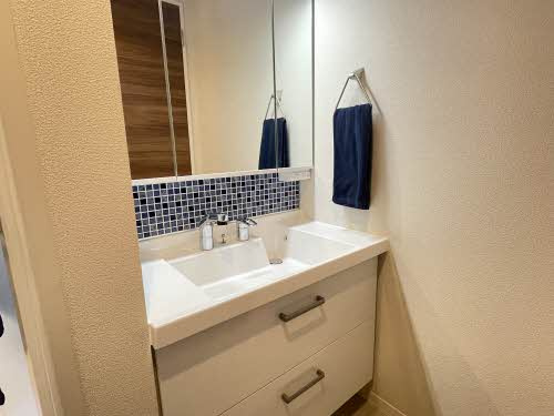 ヴィラウィステリア南高江　B棟の独立洗面台