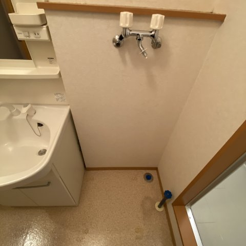 Ｕ’グランディスの洗面所