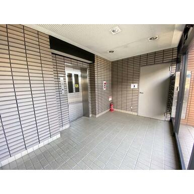 セントポーリアⅠのその他