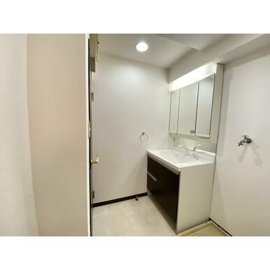 セントポーリアⅠのその他