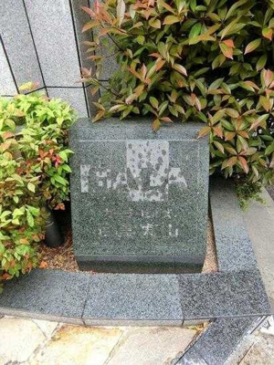 【展望】 | ガーラ・ヒルズ目黒東山