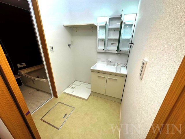 グリーンハイツMの洗面所