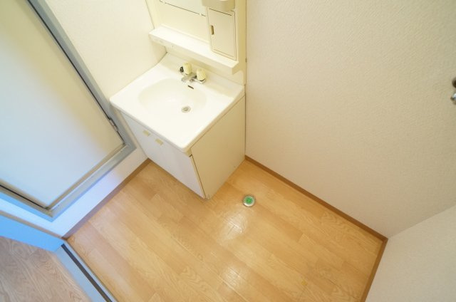 ライフイン宝塚Ⅰの洗面所
