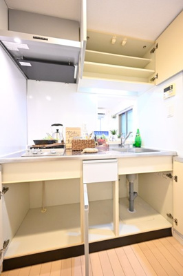 【キッチン】 | ヴィスタガーデン西荻窪 | システムキッチン（2口ガスコンロ）/※家具・小物はイメージです