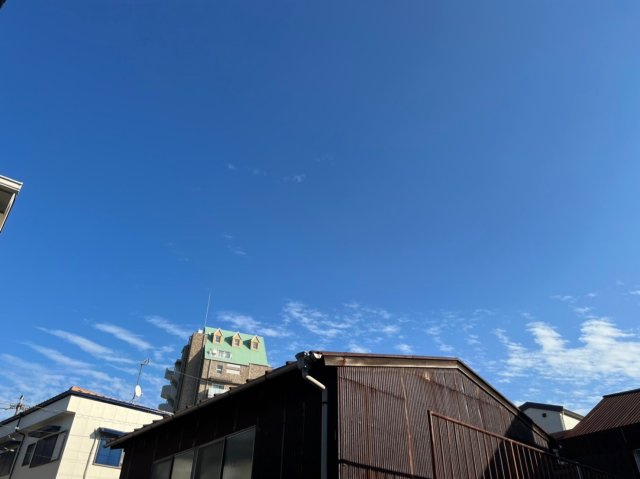 カエルラマリスの展望|カエルラマリス
