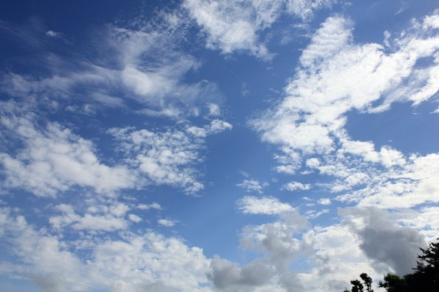 テストアーバンクレスト