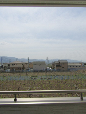 【展望】 | エンゼルハウス　甲府市蓬沢町② | 眺望