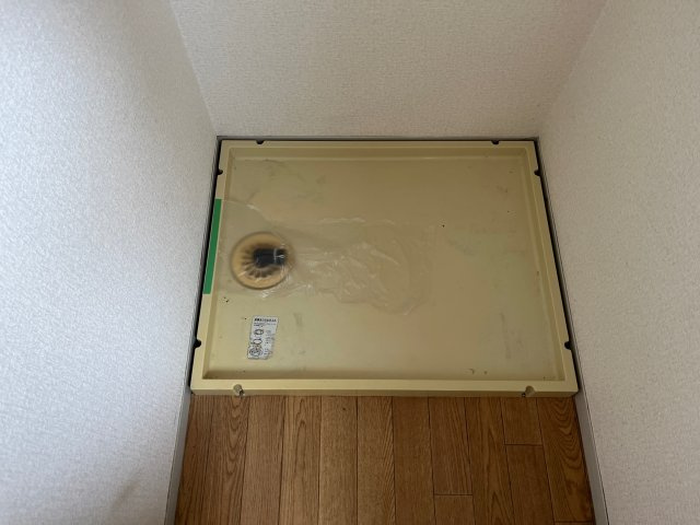 パレーシャル御立のその他