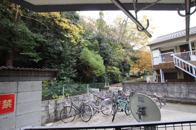 【展望】 | アメージングエステート