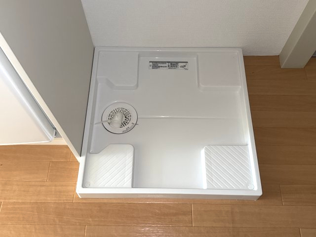 ハミング玉手のその他