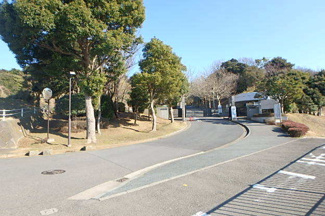 大学