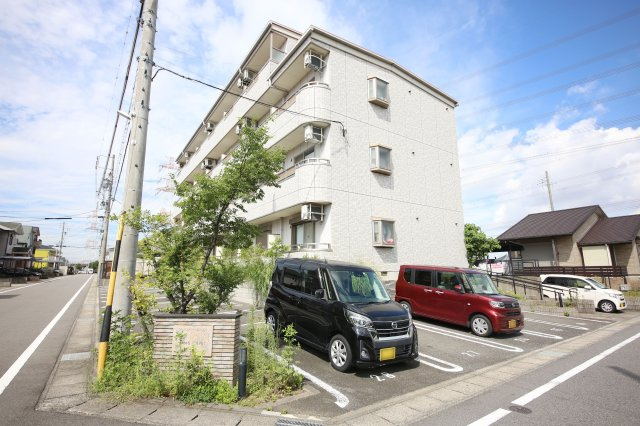 youngleavesのその他