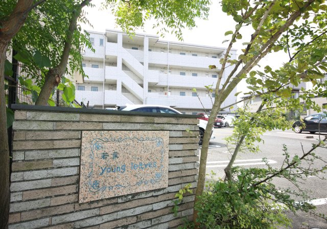 youngleavesのその他共用部分