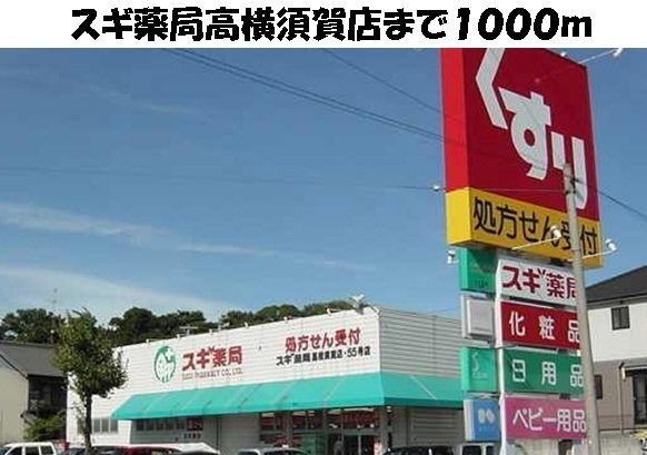 ハピネスの周辺|スギ薬局高横須賀店まで1000m