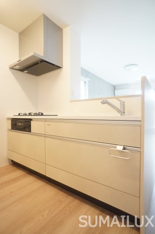 熊本市南区御幸笛田７丁目のアパートのキッチン