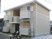 エーデルコートソロの画像