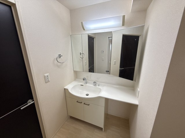 セジュール小川の洗面所