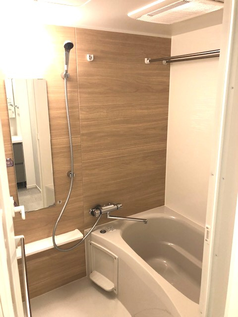 ParkAxis入谷の浴室