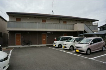 ヴィオラ（Viola）の画像