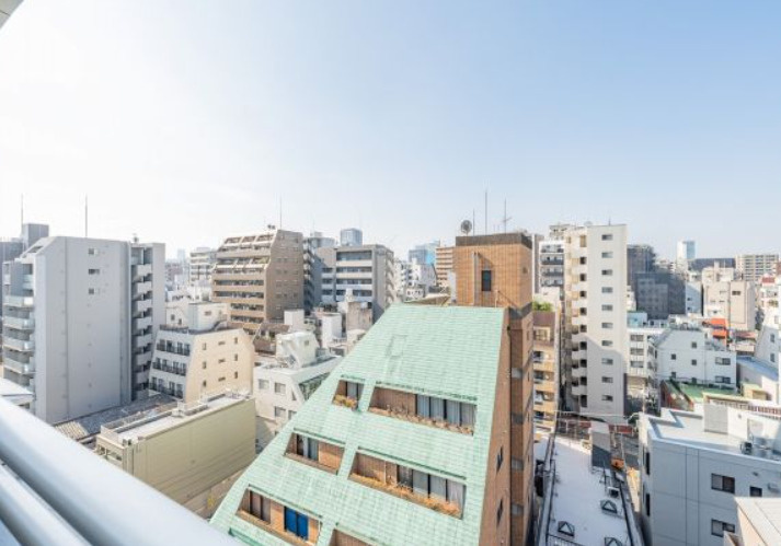 ライオンズシティ蔵前の展望