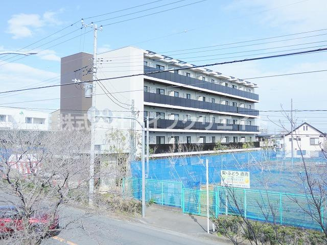 star pearのその他