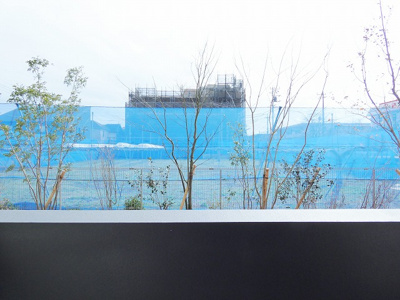 【展望】 | star pear