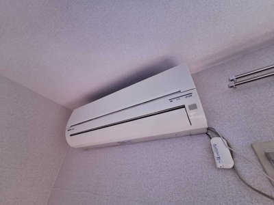 【その他】 | アムールLisBlanc