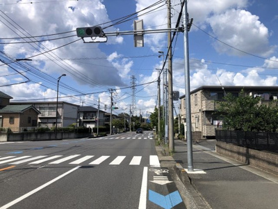 【周辺】 | ポトス