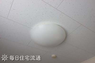 【内装】 | ドルチェ