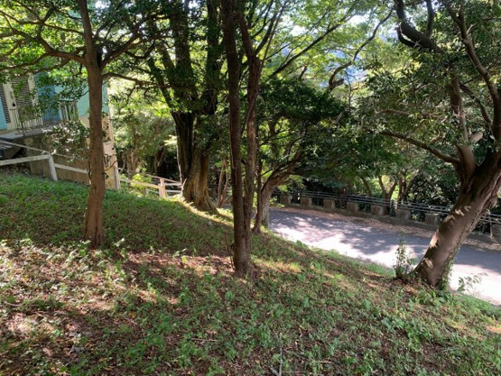 【展望】 | エンゼルフォレスト大川汐見崎　売地