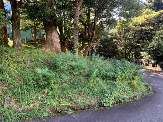 【外観】 | エンゼルフォレスト大川汐見崎　売地