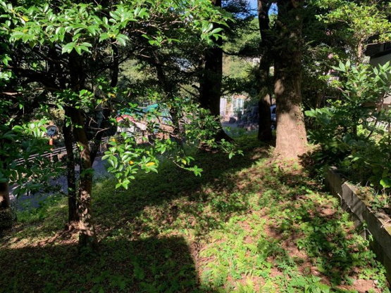 【外観】 | エンゼルフォレスト大川汐見崎　売地