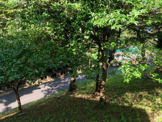 【外観】 | エンゼルフォレスト大川汐見崎　売地