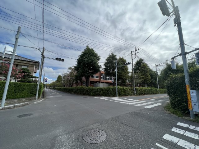 カーサ徳寿の周辺