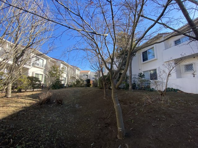 の-の画像