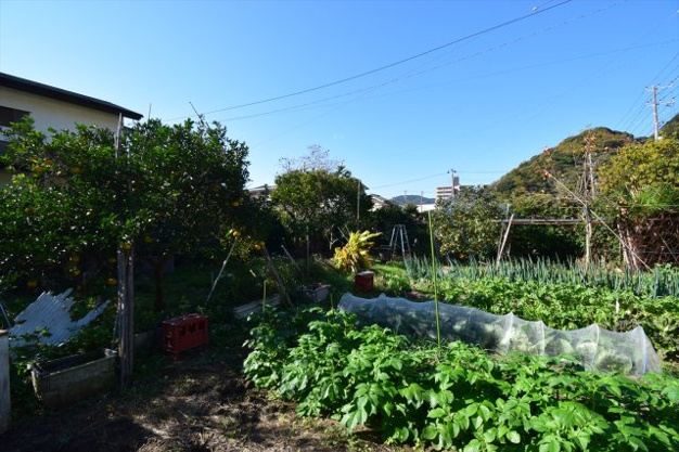 【外観】 | 賀茂郡河津町浜　売地
