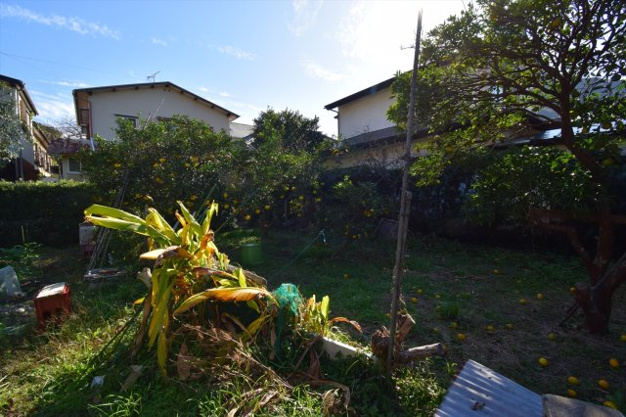 【外観】 | 賀茂郡河津町浜　売地