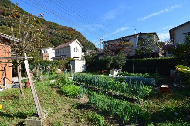 【外観】 | 賀茂郡河津町浜　売地