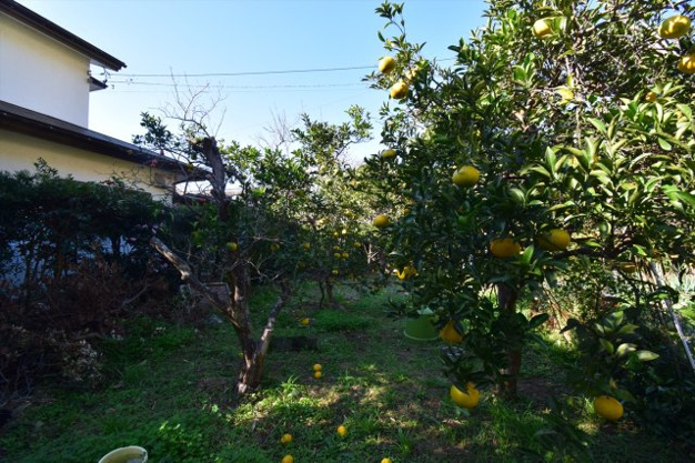 【外観】 | 賀茂郡河津町浜　売地