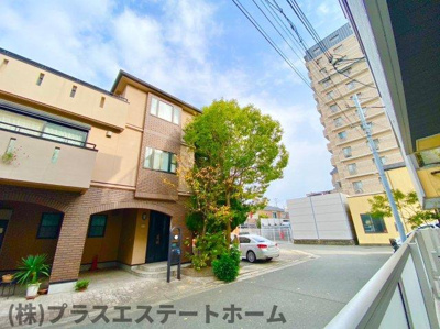 【展望】 | PremiereSAKURA