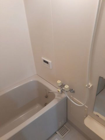 サファイアンエレガンスＤの浴室