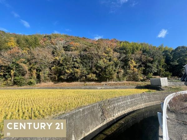 和歌山市頭陀寺の売地の外観