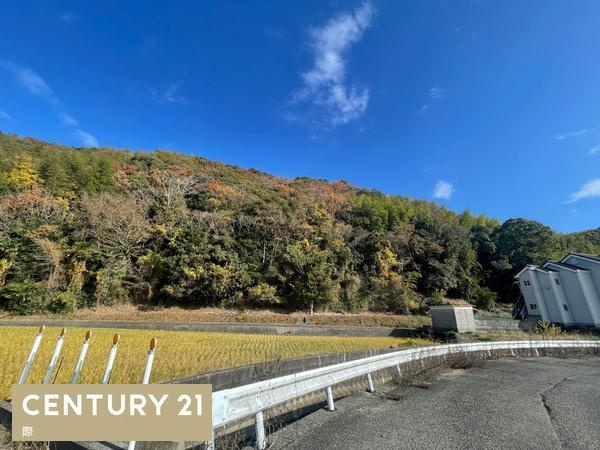 和歌山市頭陀寺の売地の前面道路含む現地写真