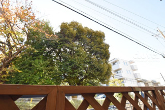 【展望】 | お部屋からの眺望。バルコニーからの景色です～即日のご見学可能～　お問合せはお気軽にどうぞ。