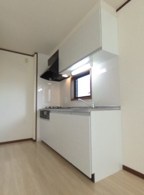 エクセルNAGAMINE　B棟のキッチン