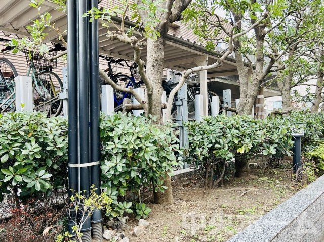 ノーブル猿江恩賜公園ウエストの中庭|敷地内には緑が多く住環境良好です