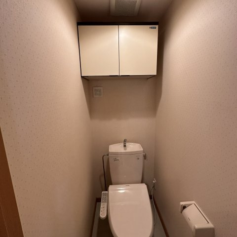 ドリームハイツⅢのトイレ